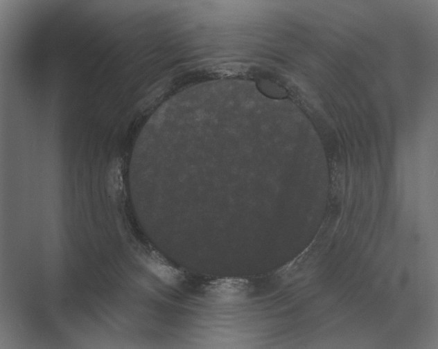 X0000074010128200609181844