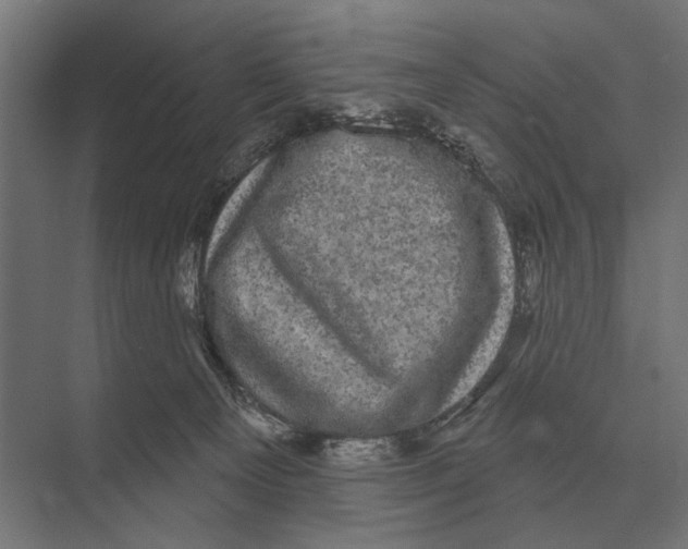 X0000074010129200609181844