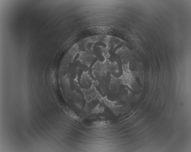 X0000074010131200609181844