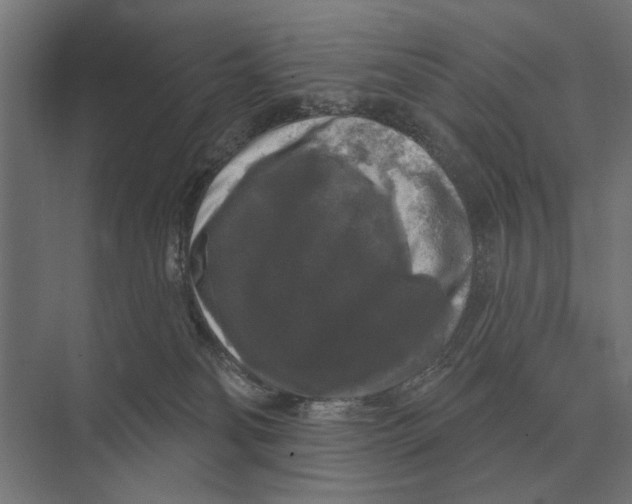 X0000074010134200609181844