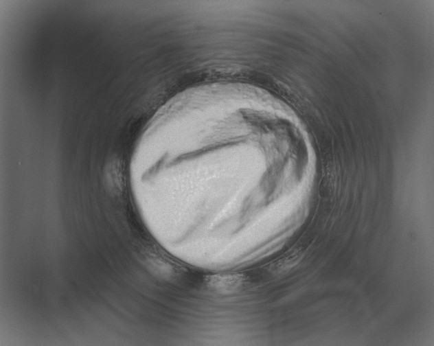 X0000074010135200609181844