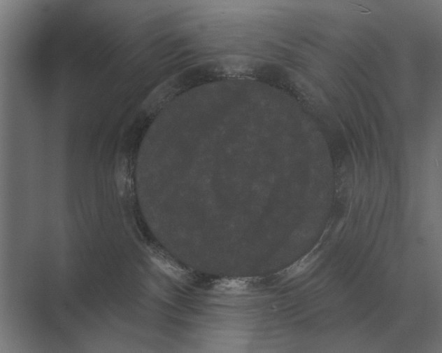 X0000074010140200609181844