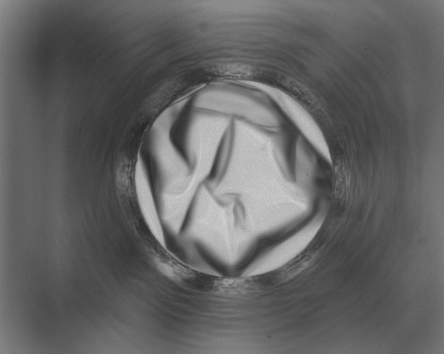 X0000074010141200609181844