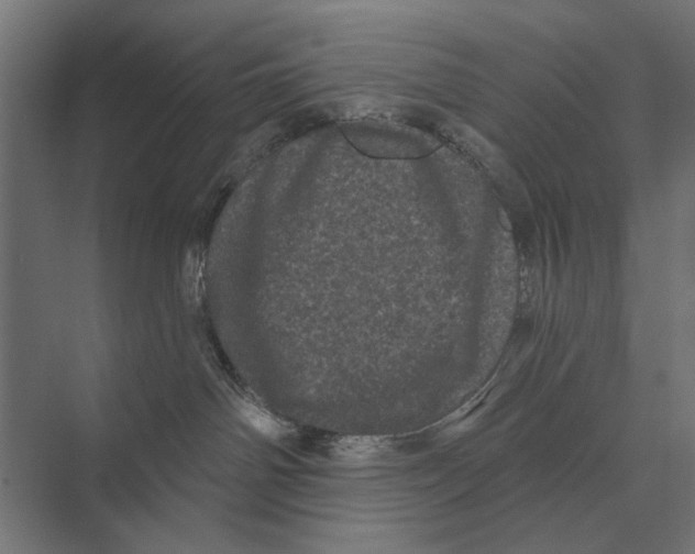 X0000074010142200609181844