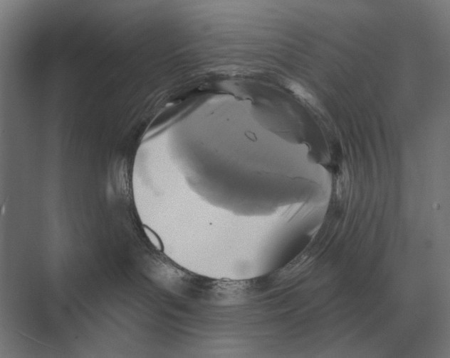 X0000074010143200609181844