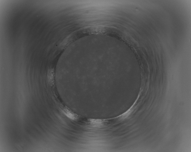 X0000074010144200609181844