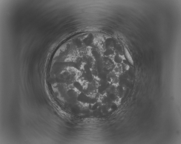 X0000074010145200609181843