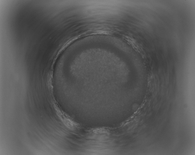 X0000074010146200609181843