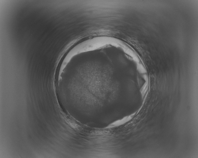 X0000074010147200609181843