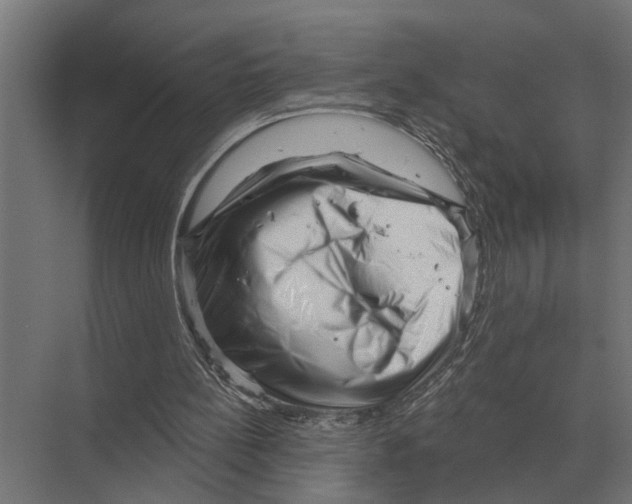 X0000074010148200609181843