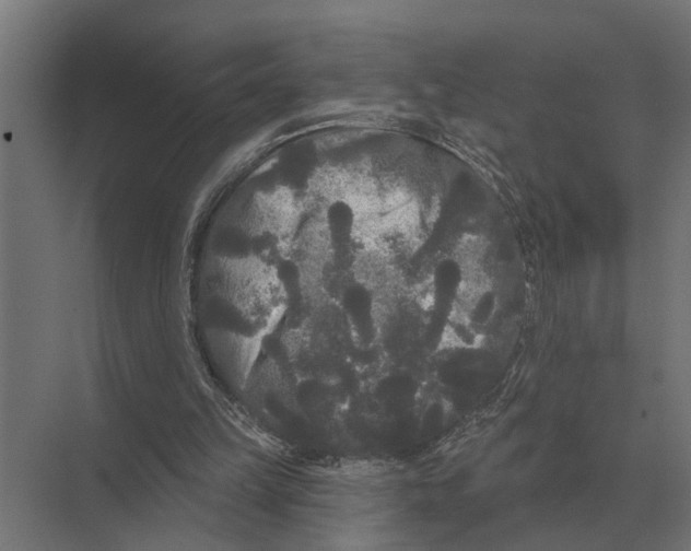 X0000074010149200609181843