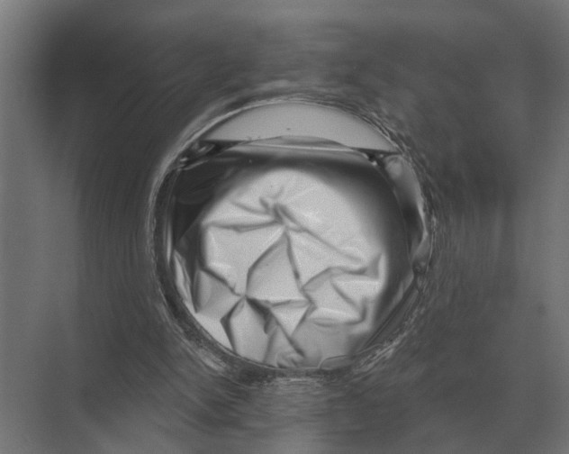 X0000074010150200609181843