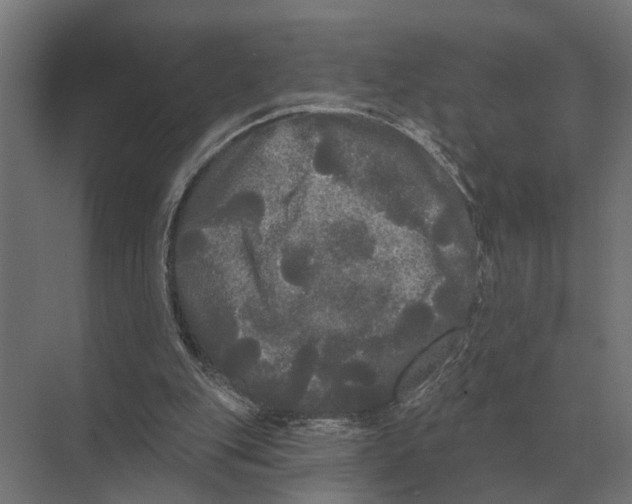 X0000074010151200609181843