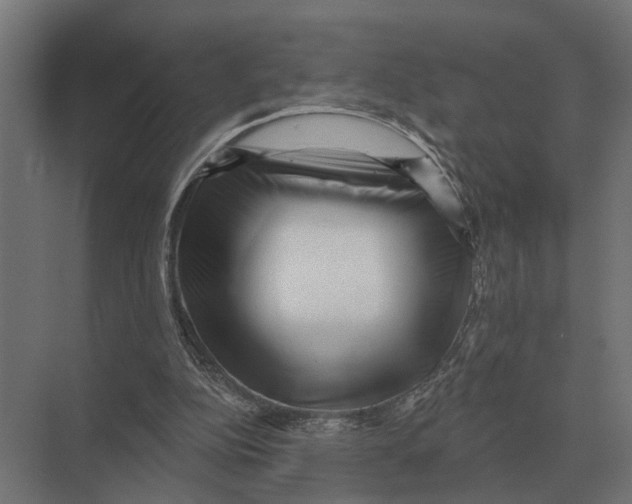 X0000074010152200609181843