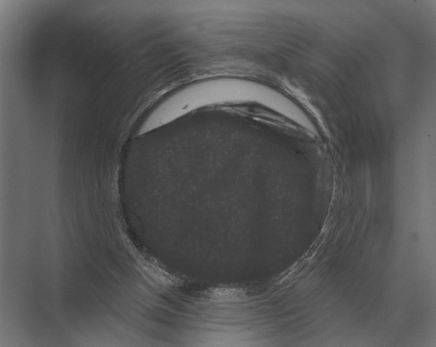 X0000074010154200609181843