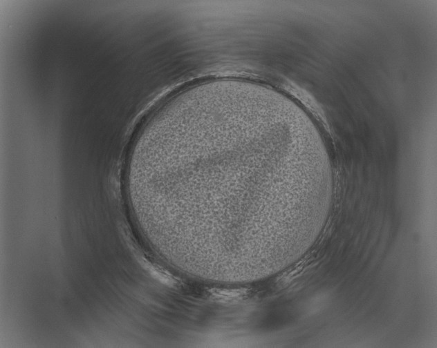 X0000074010155200609181843