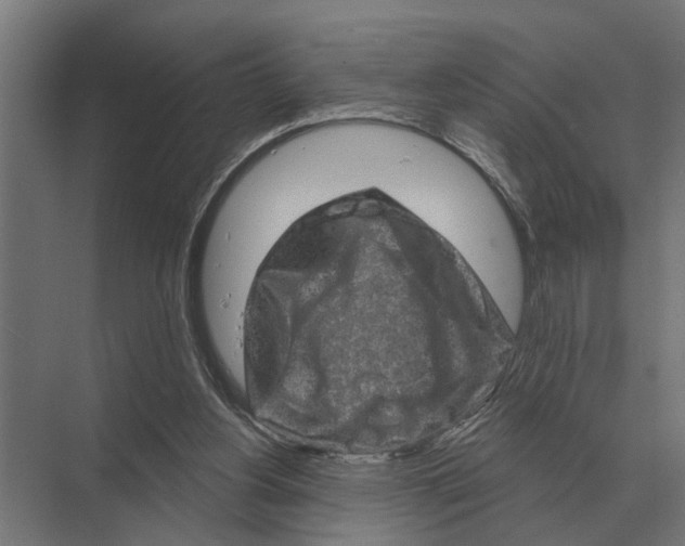 X0000074010156200609181843