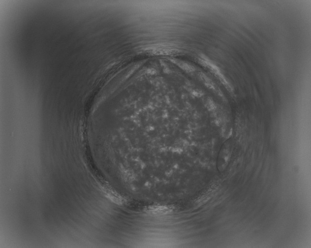 X0000074010161200609181843