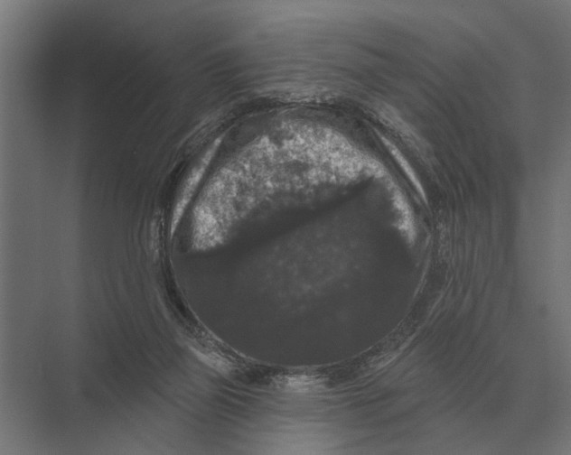 X0000074010165200609181843