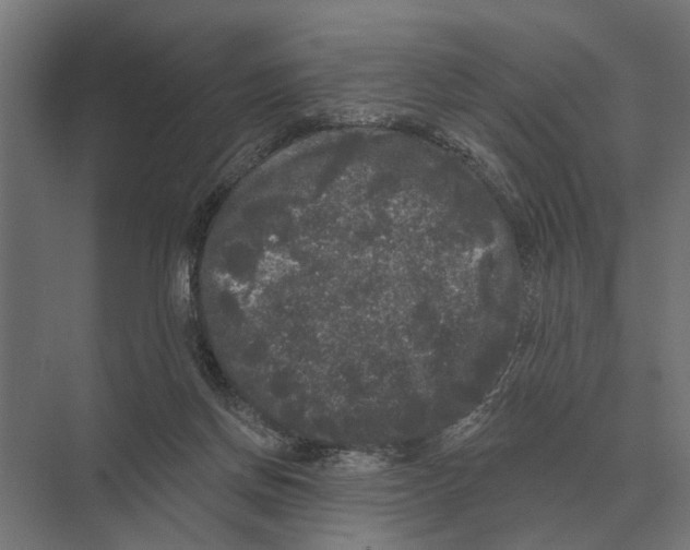 X0000074010166200609181843