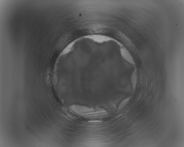 X0000074010169200609181843