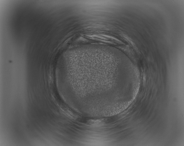 X0000074010170200609181843