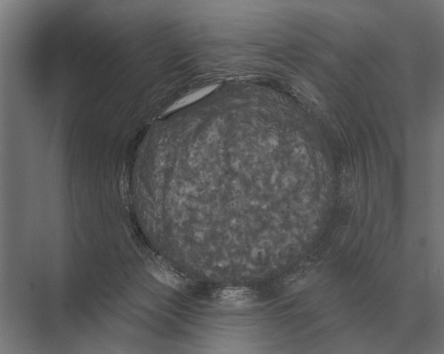 X0000074010173200609181843