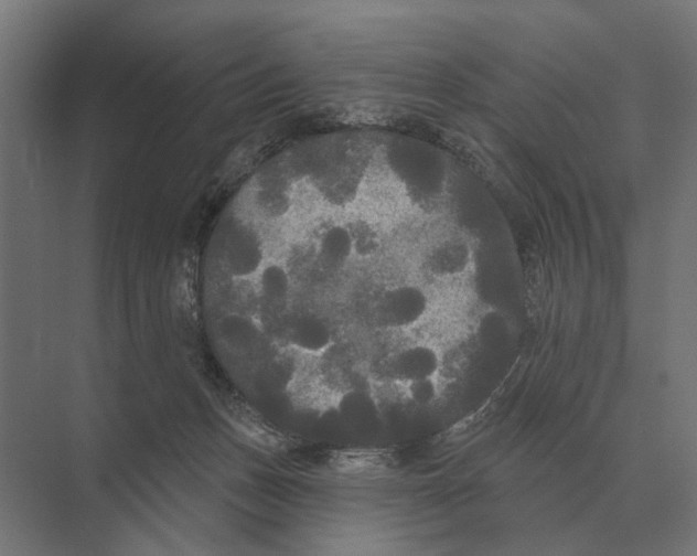 X0000074010175200609181843