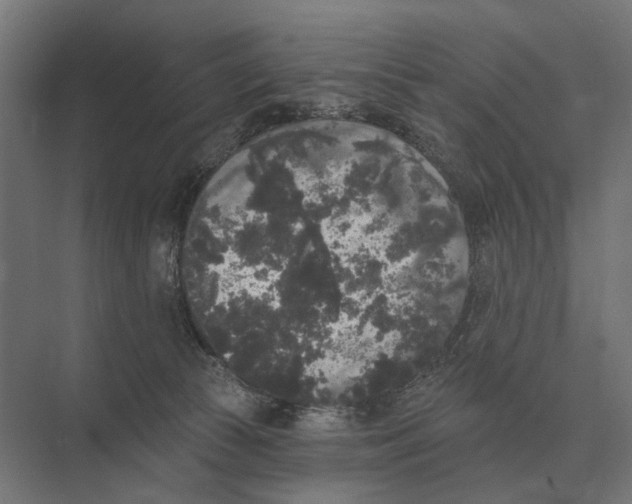 X0000074010177200609181843