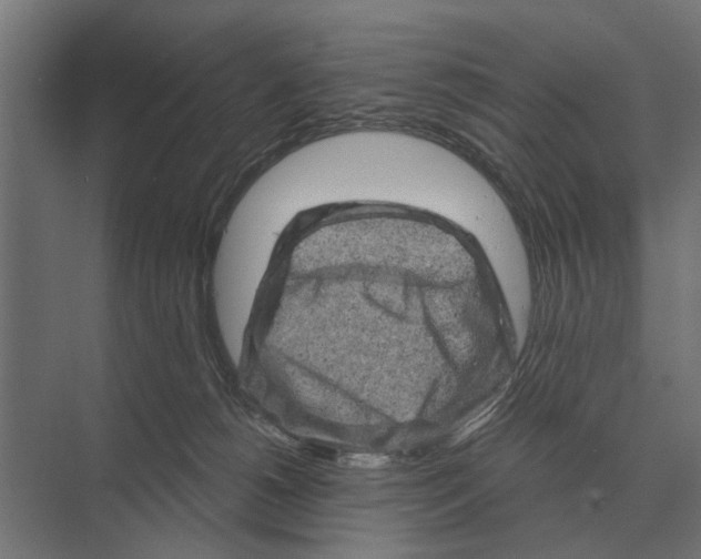 X0000074010180200609181843