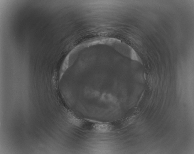 X0000074010181200609181844