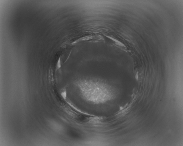 X0000074010182200609181844