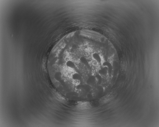 X0000074010185200609181844