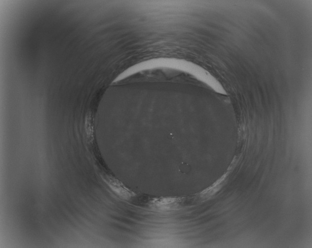 X0000074010186200609181844