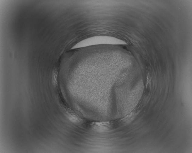 X0000074010188200609181844