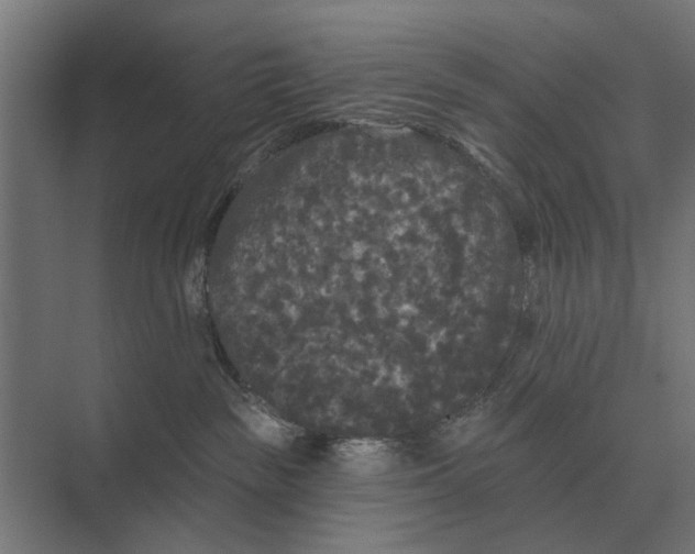 X0000074010189200609181844