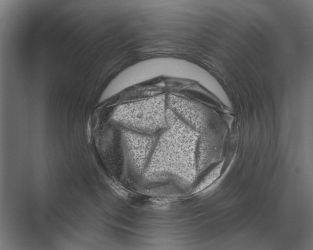 X0000074010190200609181844