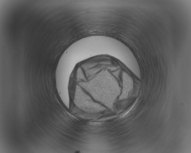 X0000074010192200609181844