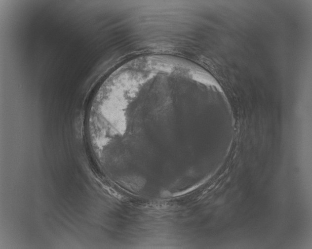 X0000074010194200609181843