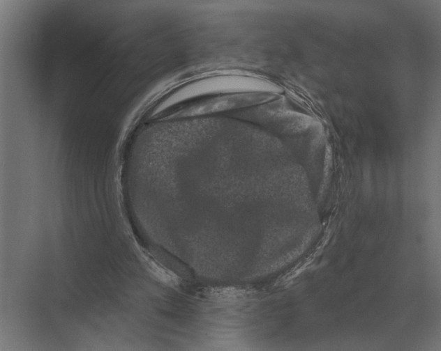 X0000074010197200609181843