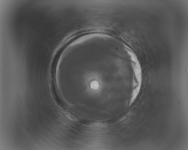 X0000074010198200609181843