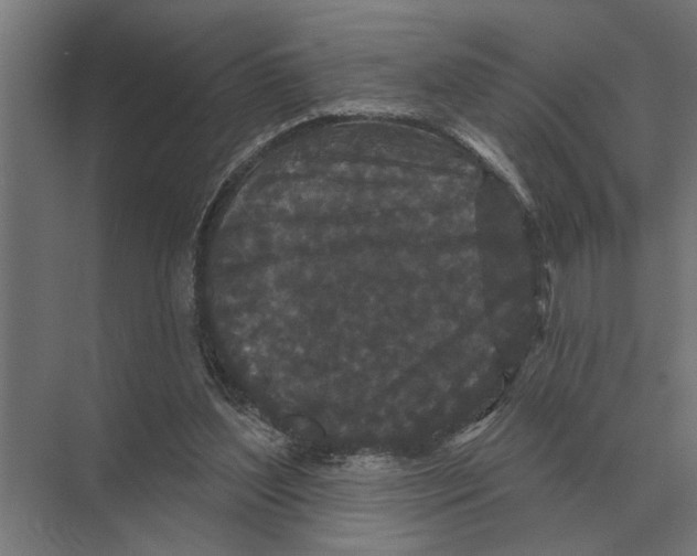 X0000074010204200609181843