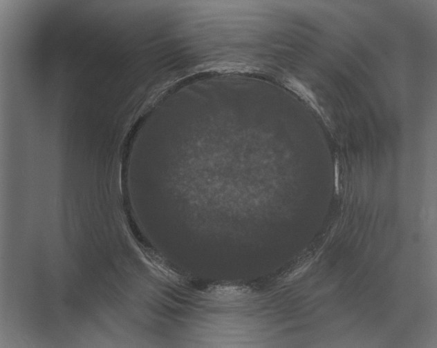 X0000074010205200609181843