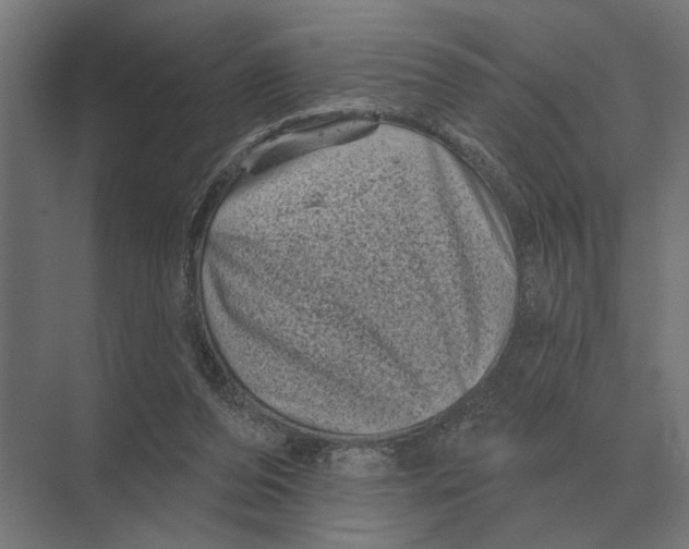 X0000074010208200609181843