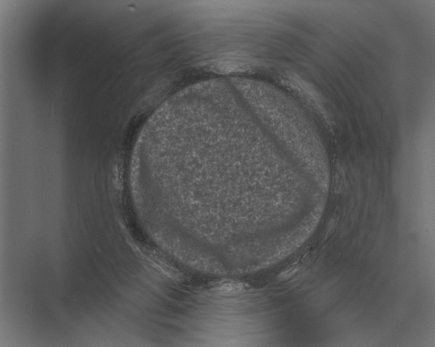 X0000074010210200609181843