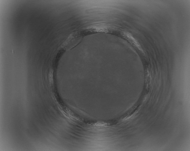 X0000074010213200609181843