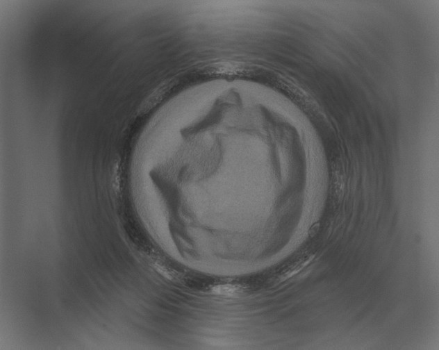 X0000074010216200609181842