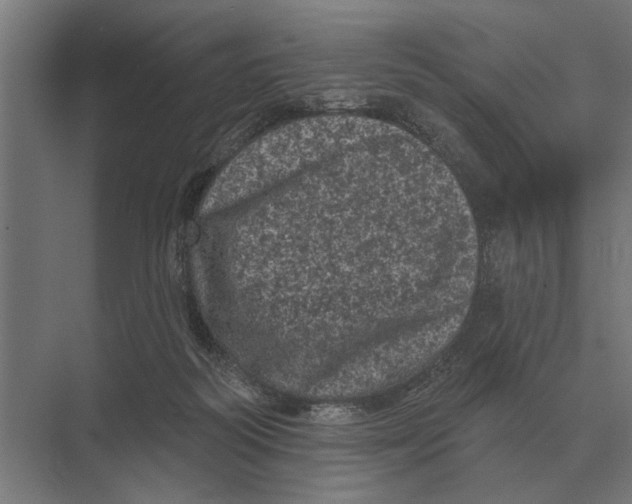 X0000074010218200609181842