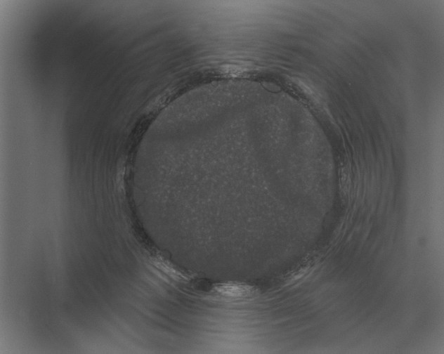 X0000074010221200609181842