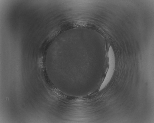 X0000074010224200609181842